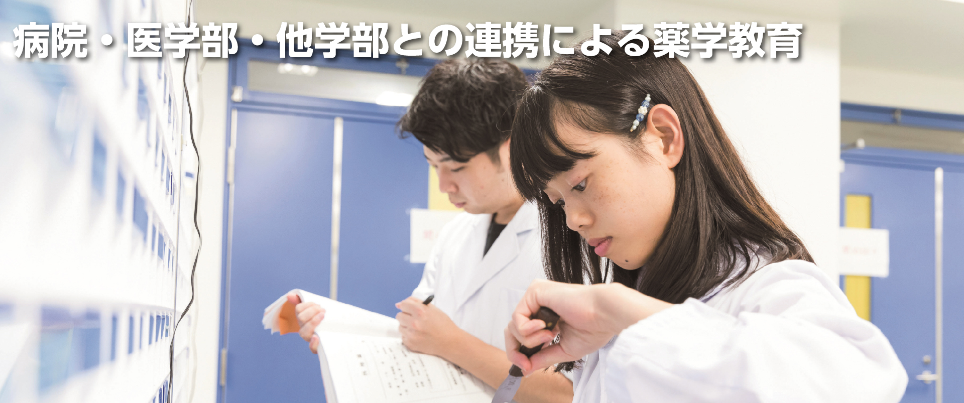 スライドイメージ