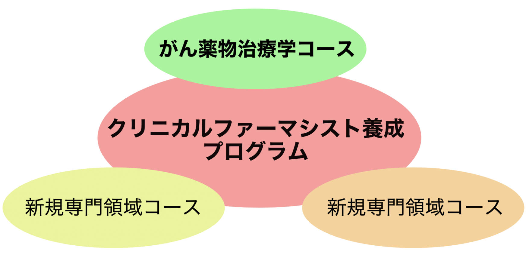 クリニカルファーマシスト養成プログラム